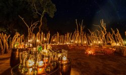 Mombo WildernessSafaris-06e