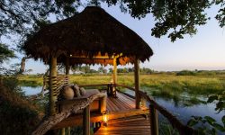 Mombo WildernessSafaris-08e