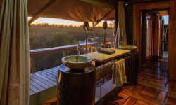 Mombo WildernessSafaris-09e