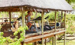 Mombo_M.HoyleWildernessSafaris_9_resize