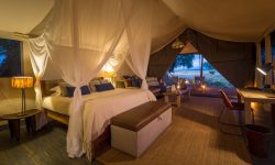 Ruckomechi Camp 4