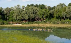 Tubu Tree Camp WildernessSafaris01