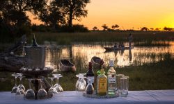 jacana_2015-06-3e