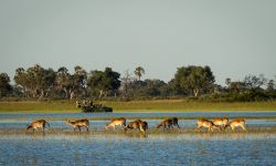 jao_reserve_2015-06-188e