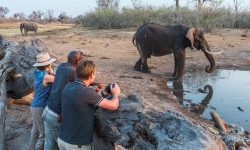 savuti_sep16_20