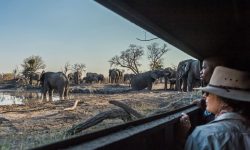 savuti_sep16_34