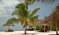 Beach bar2