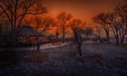 Hyena Pan - Main Lodge 2