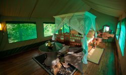 KatumaRoom2