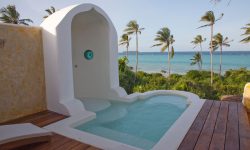 Matemwe-Retreat-private-plunge-pool-seaview