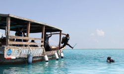 Matemwe-guests-diving-zanzibar