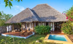 Old villas plunge pool