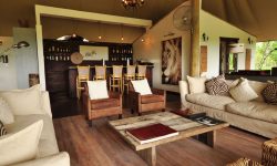Sanctuary Stanleys Camp wine & coffee barlounge