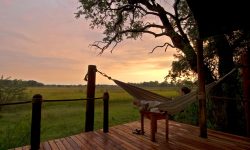 Sanctuary Stanleys hammock on deck