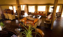 interior_boma