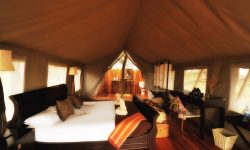 interior_double_tent