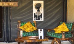 lounge 2