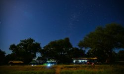 night_shot