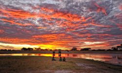 sunset_in_hwange_national_park