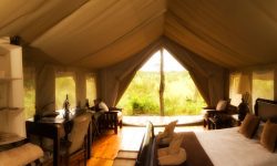 tent_1