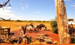 view_from_main_boma_towards_decking_and_pool