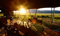 zambezi_expeditions_12