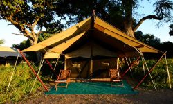 zambezi_expeditions_22