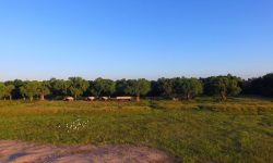 zambezi_expeditions_301