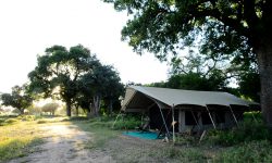 zambezi_expeditions_31