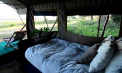 zambezi_expeditions_51