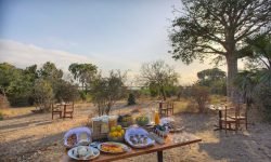 Selous Camps- Roho Ya Selous