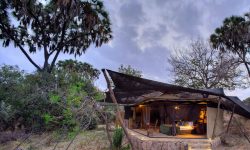 Tents at Roho Ya Selous