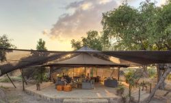 Roho ya Selous - Bar