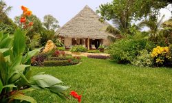 Tulia Zanzibar 1