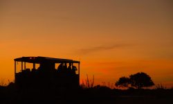 Sunset on the Imvelo Elephant Express
