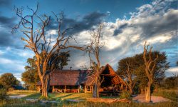Bomani Tented Lodge