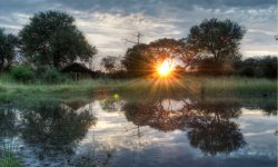 Sunset in Hwange