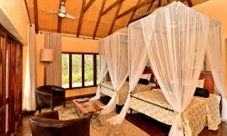 Gorges Lodge rooms