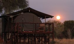 Jozibanini camp - Zimbabwe