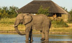 Views fro Nehimba Lodge