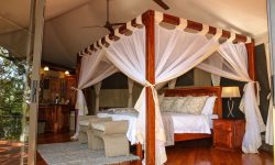 Room in Zambezi Sands River Lodge