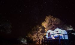 Star gazing in Zimbabwe