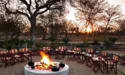 jaci's sabi house 6