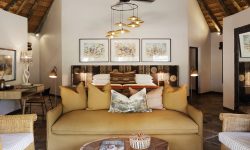 sable suite 17