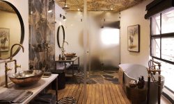 sable suite 18