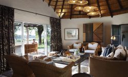 sable suite 5