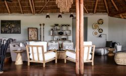 Sanctuary-Swala-Tarangire-2