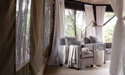 Sanctuary-Swala-Tarangire-4