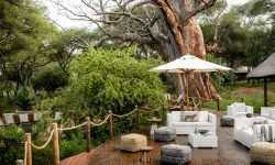 Sanctuary-Swala-Tarangire-7