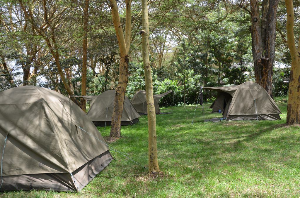 Dome Tents